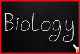 Biology Blackboard
