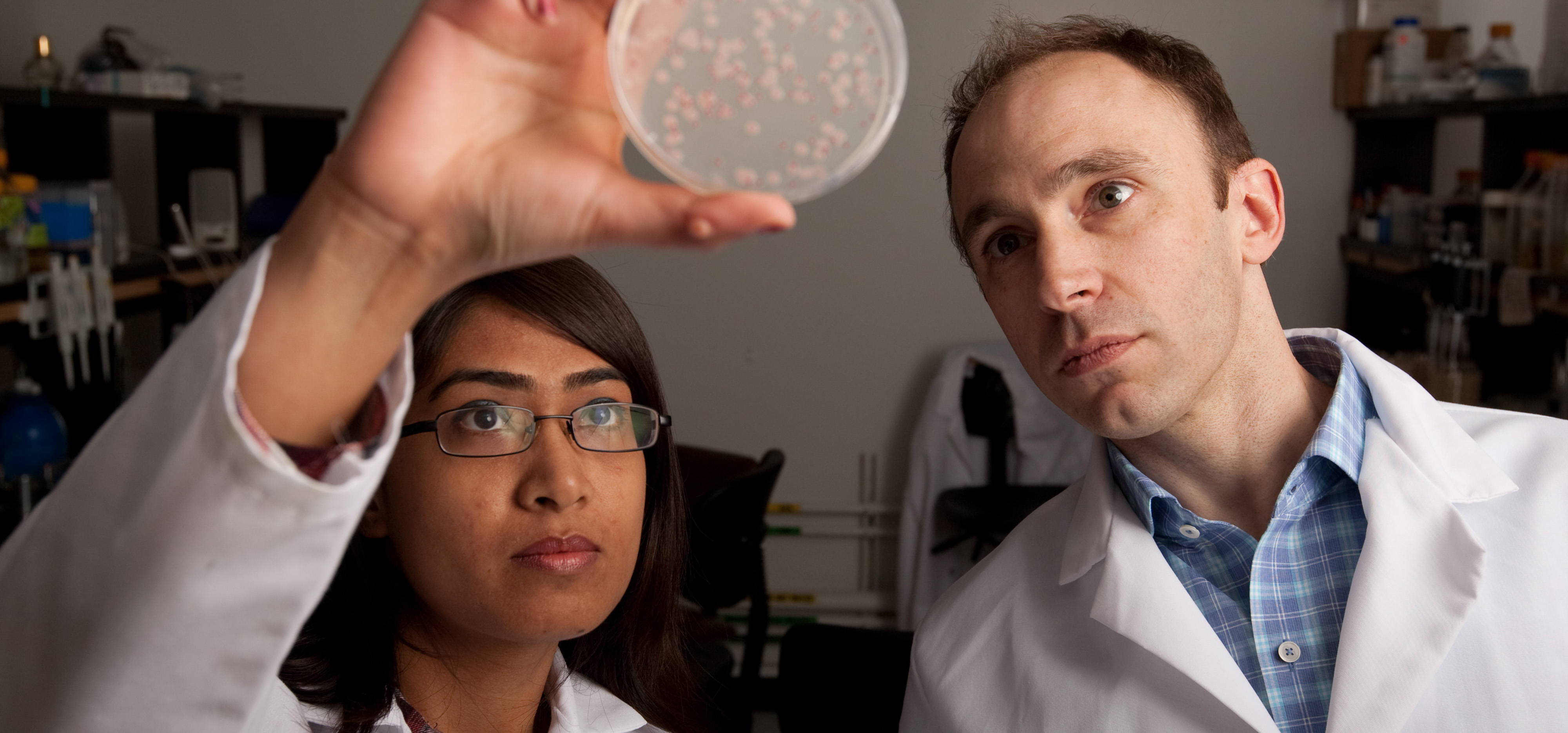 Researchers analyze a petri dish in a lab.