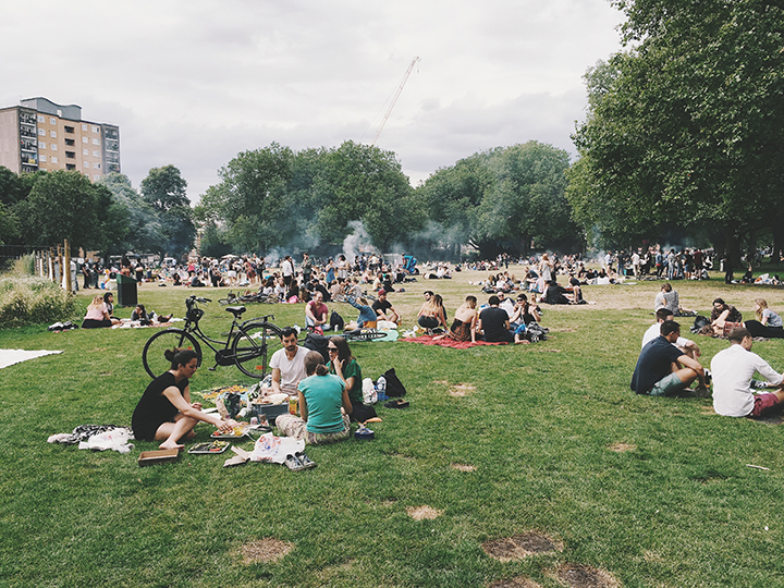 Party in the Park