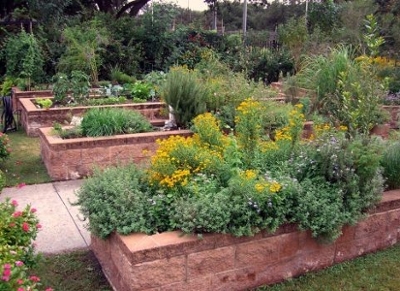 Healthy Soil Equals Healthy Gardens University Of Houston