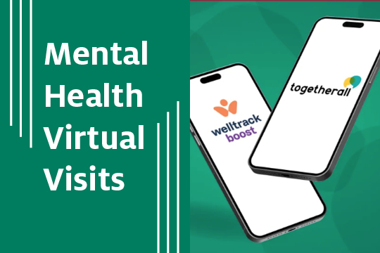Mental Health Virtual Visits 