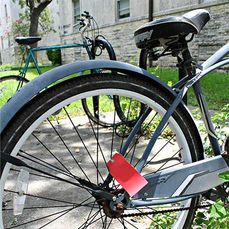 abandoned bikes