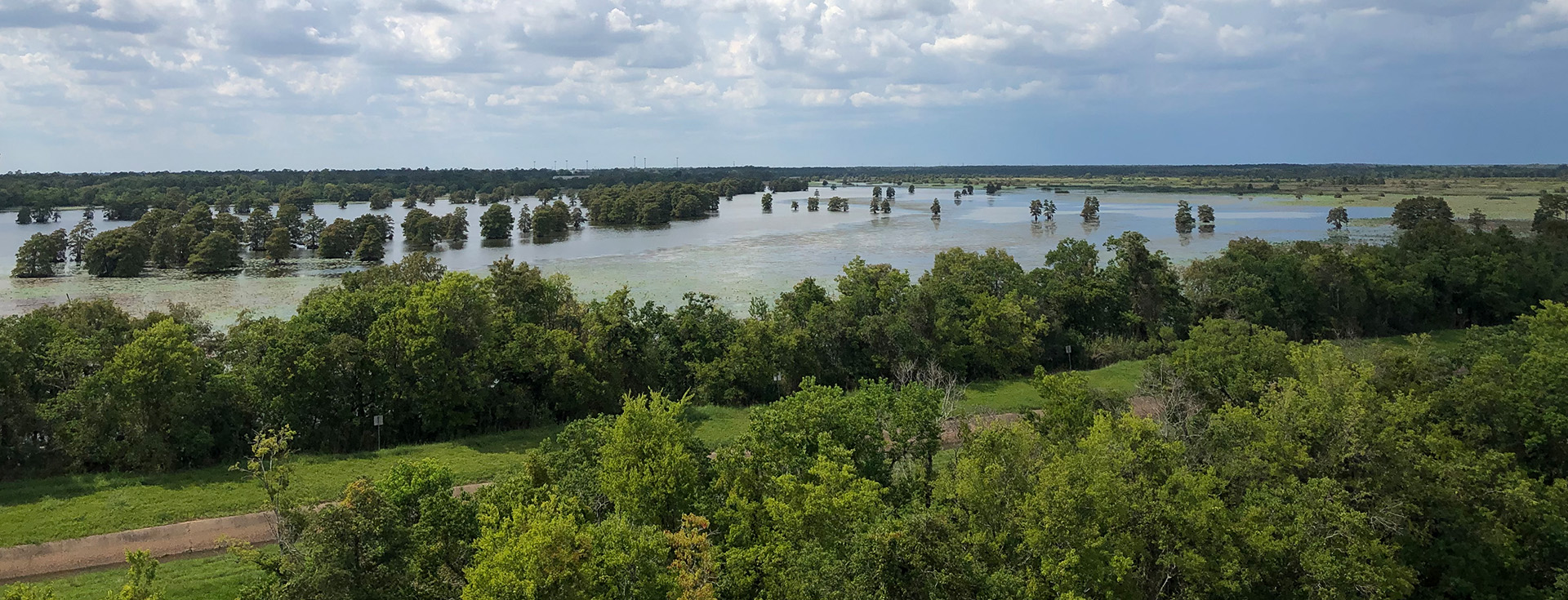 The gulf coast