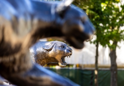 Cougar Statues