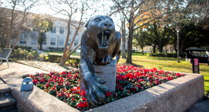 Photo of a Cougar statue at the University of Houston.