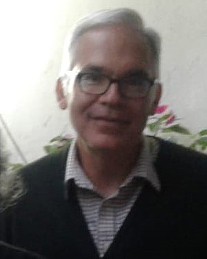 Hosam Aboul-Ela, Ph.D.