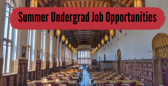 summer-undergrad-job-opportunities-1.png