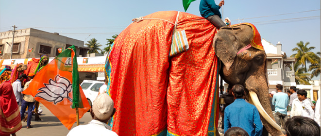 Indian voting