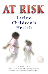 Latinos at Risk book front cover art