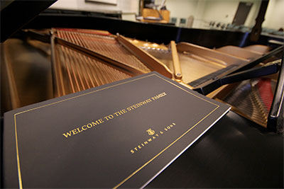 Steinway Piano -  inside