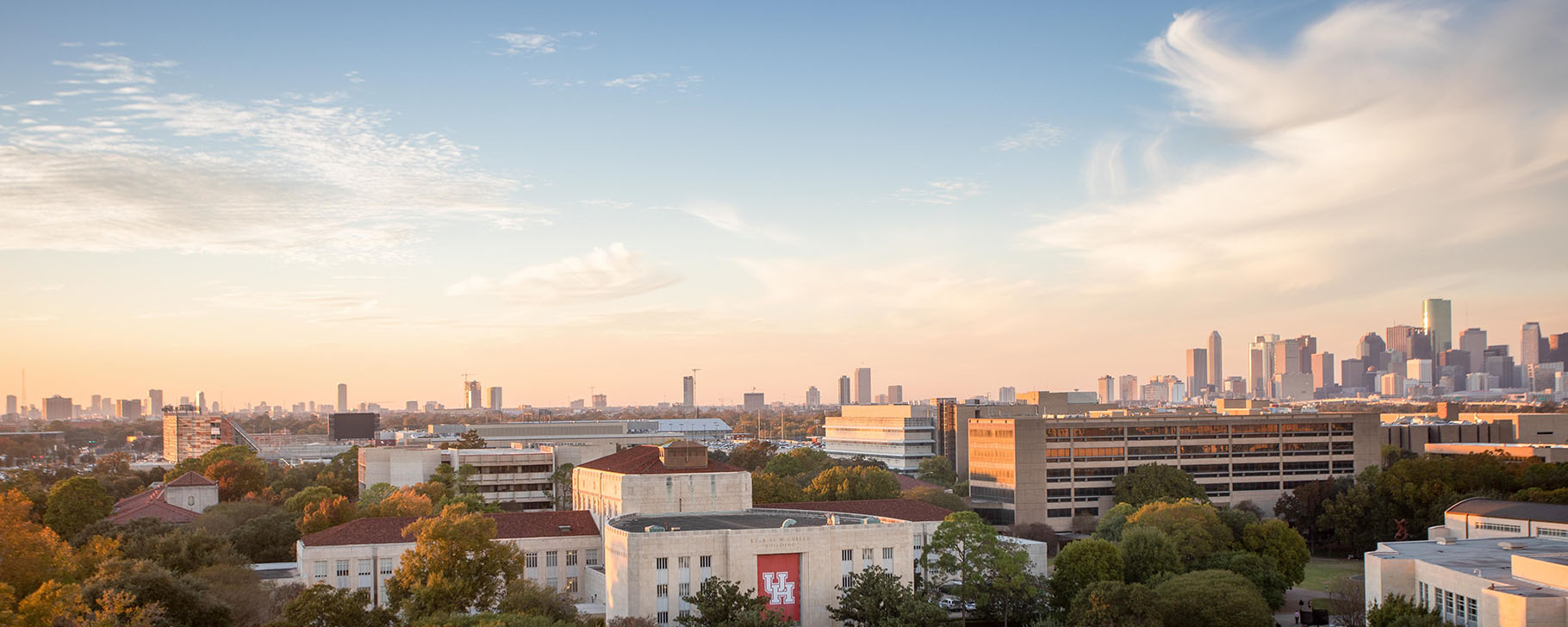 Social Responsibility