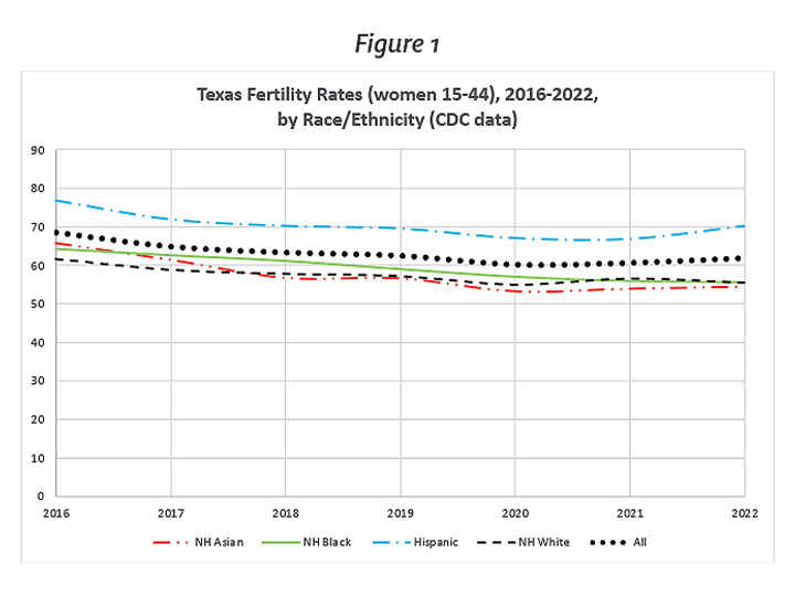 Texas & Harris County Reproductive Health Update: 2022 Fertility Rates, post 2021 Six-Week Abortion Ban