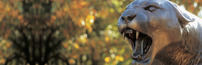 bronze cougar 2