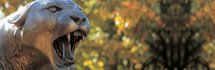 Closeup of one of E. Cullen's Bronze Cougars