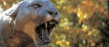 Bronze Cougar from E Cullen Building
