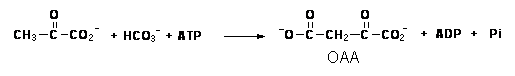 Text Box:  