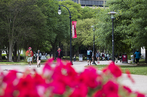 College Campus with red flowers in the foreground