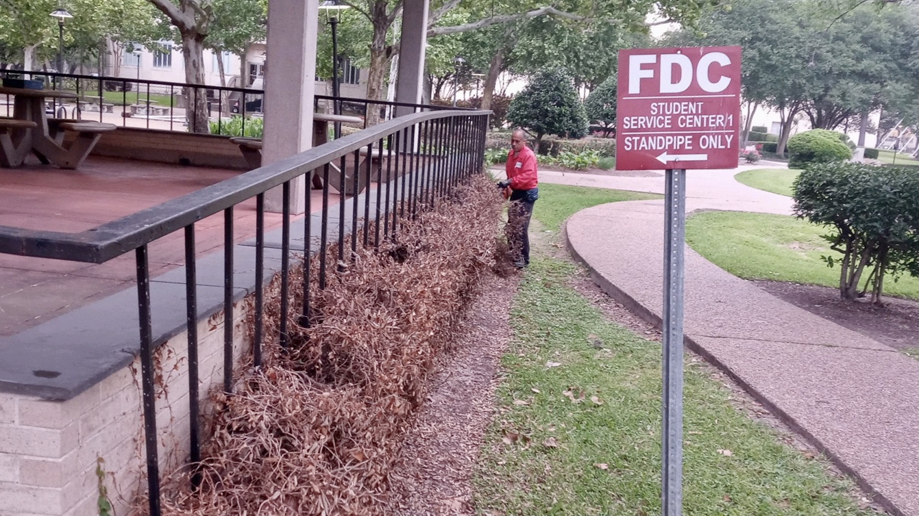 fdc sign