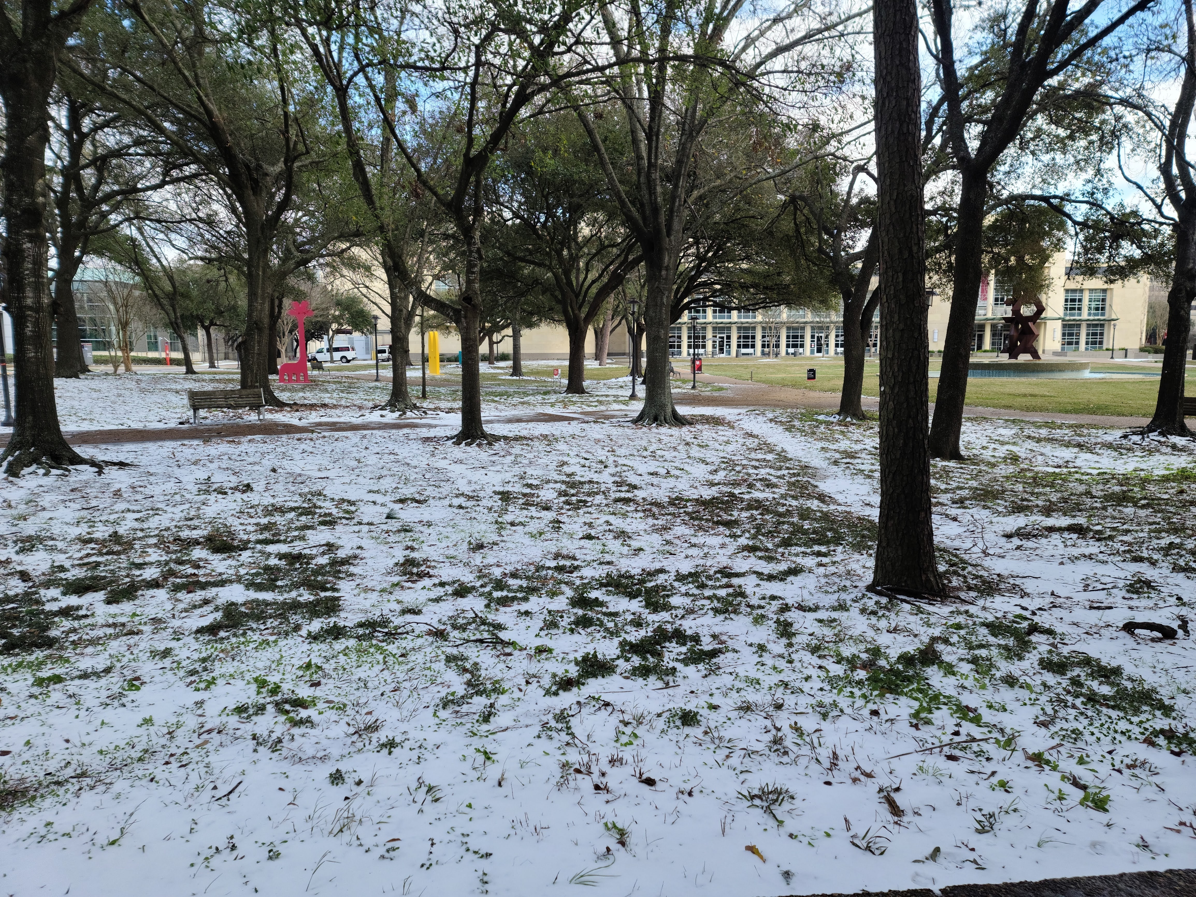 snow on campus