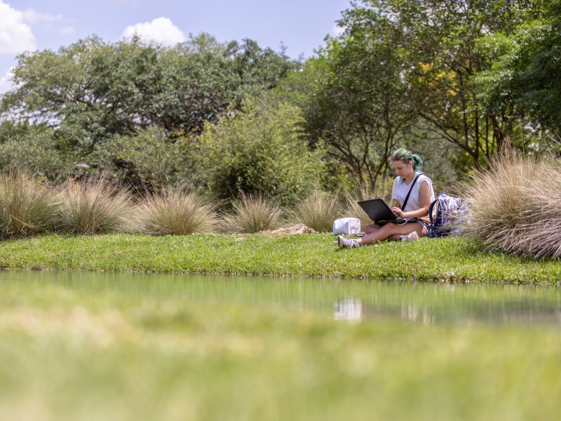 student using a laptop and sitting by a pond on uh campus