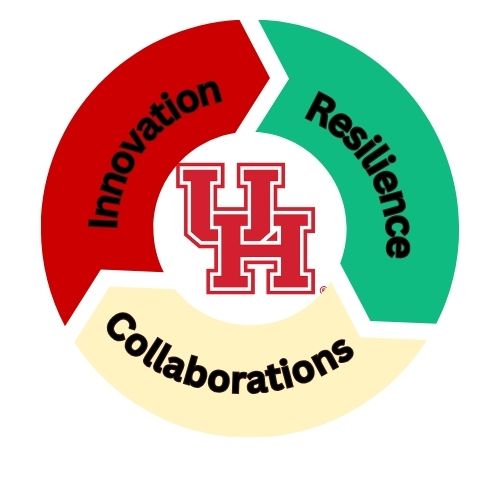 FED Values FED Values wheel, Collaboration, Resilience, and Innovation
