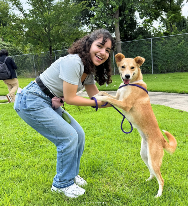 Student Volunteering with Dogs