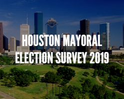 2019-mayoral-election.png