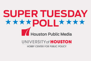 Super Tuesday poll