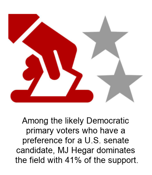 graphic of MJ Hegar dominated in the field with 41% of the support.
