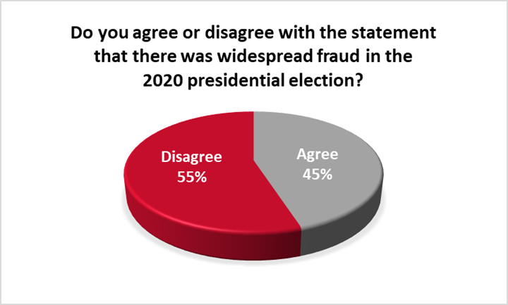 voter-fraud pie graph