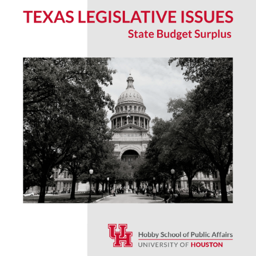 Texas Legislative Issues 2023 report cover