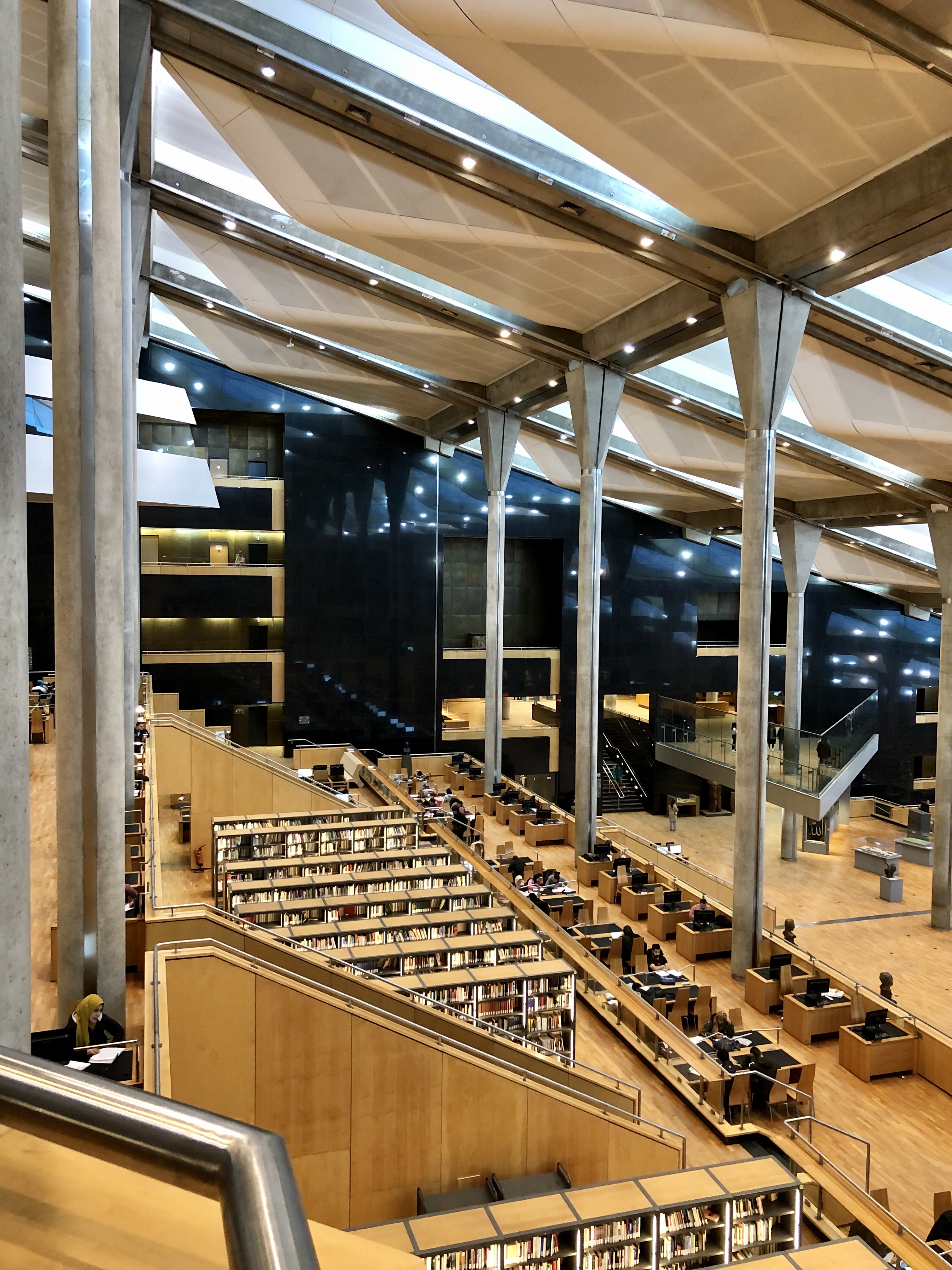 View of books in the Alexandria library