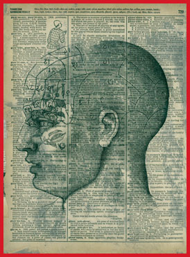 Phrenology in old book