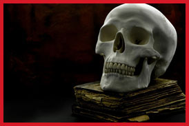 Skull on top of book