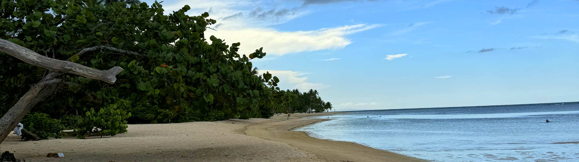 beach in the Dominican Republic