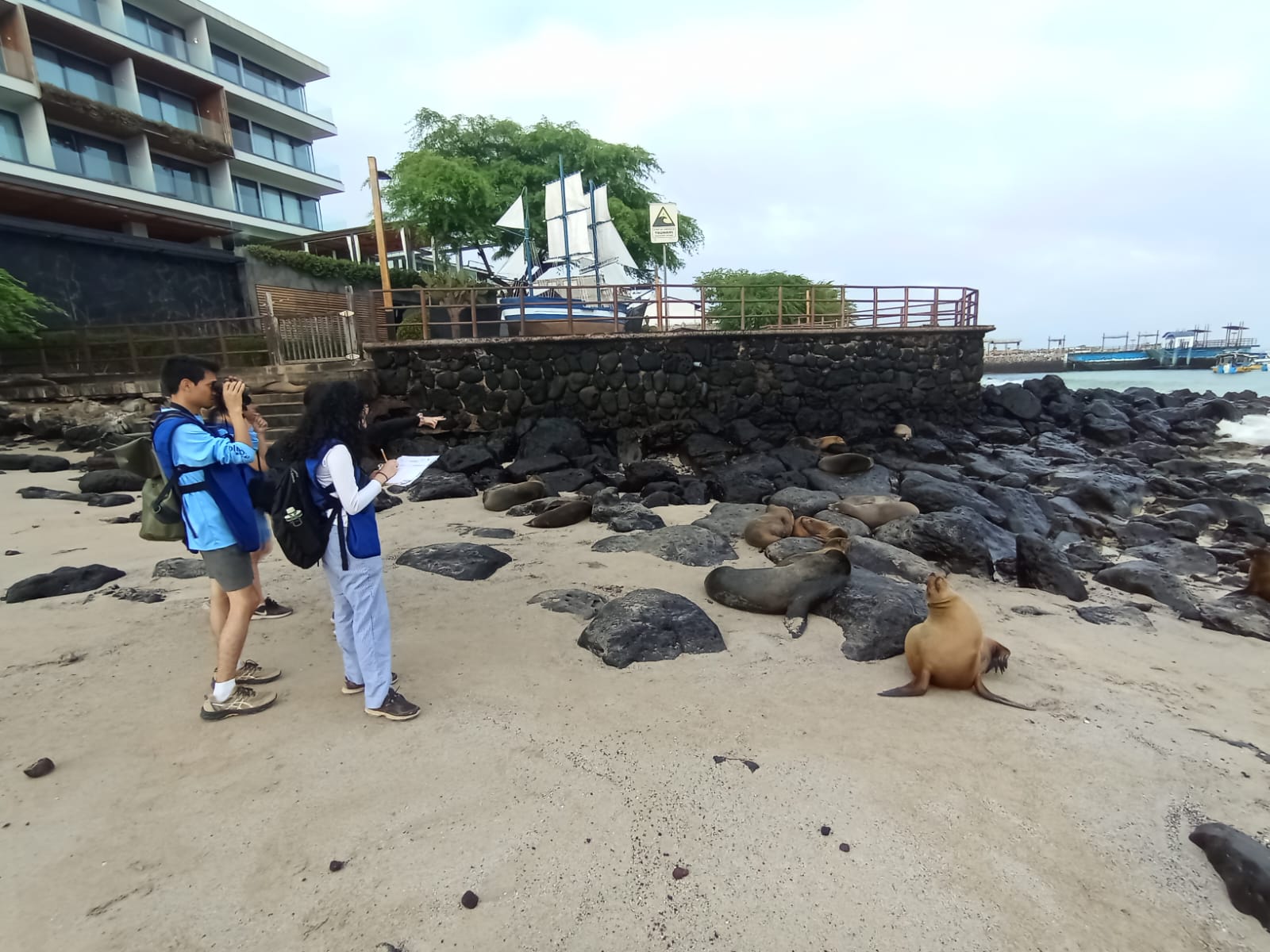students working on the beach in the galapagos islands