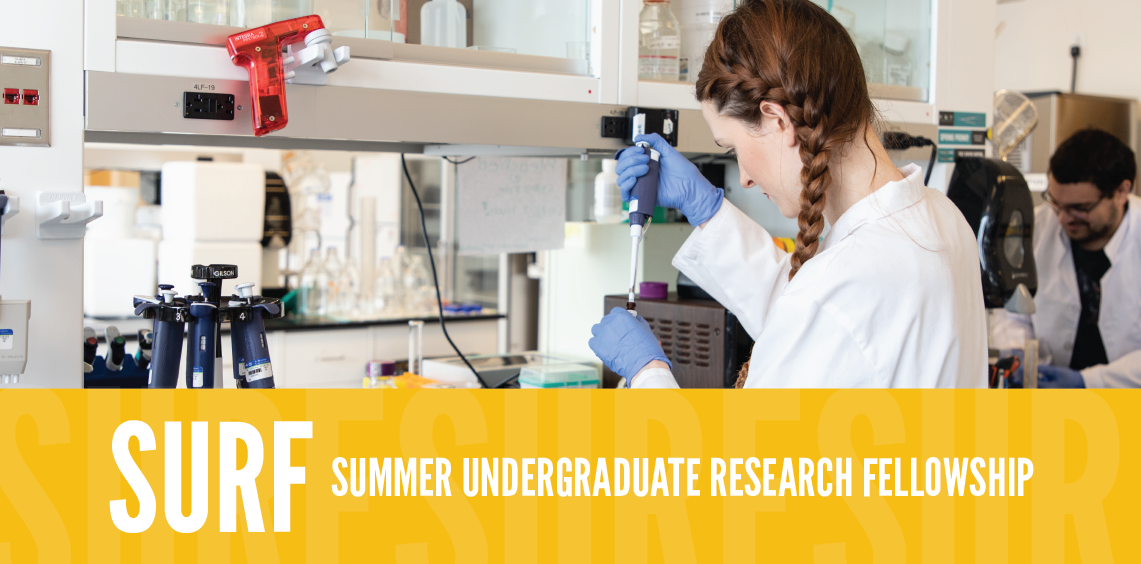 Summer Undergraduate Research Fellowship University of Houston