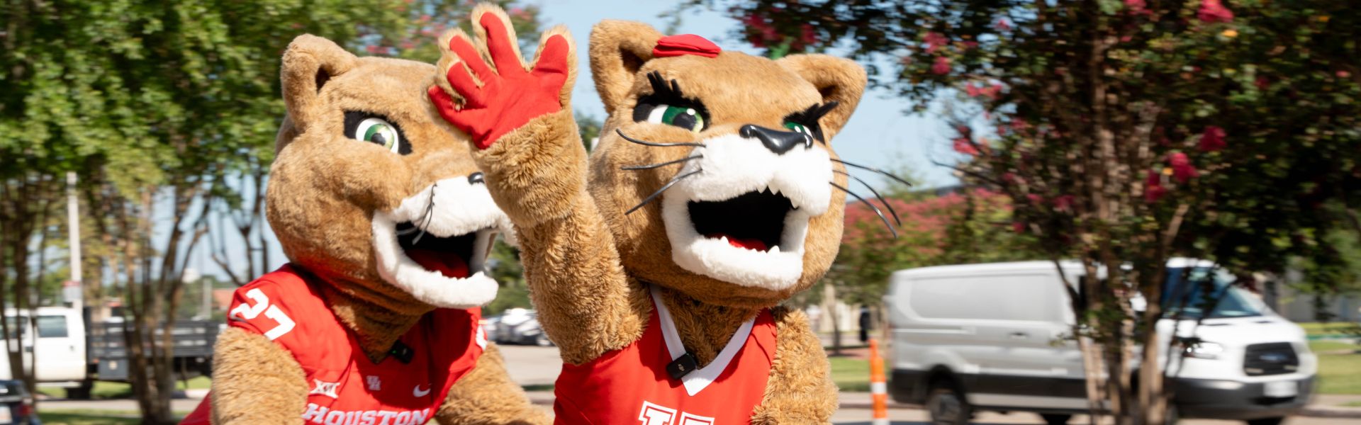 UH mascots