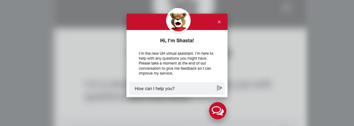 Shasta Chatbot