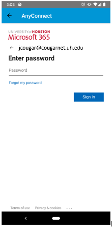 VPN Microsoft 365 Password Login