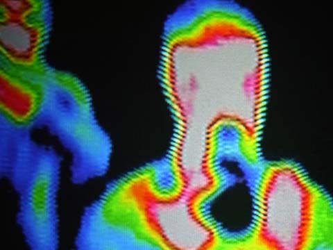 Thermal image of a person depicting a silhouette filled with color.. White and pink clusters are at the center of the person's head and chest. The colors in the person's body. transition along the color spectrum from red to blue.