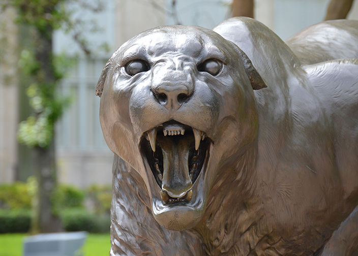 Close up of a bronze cougar statue baring its fangs