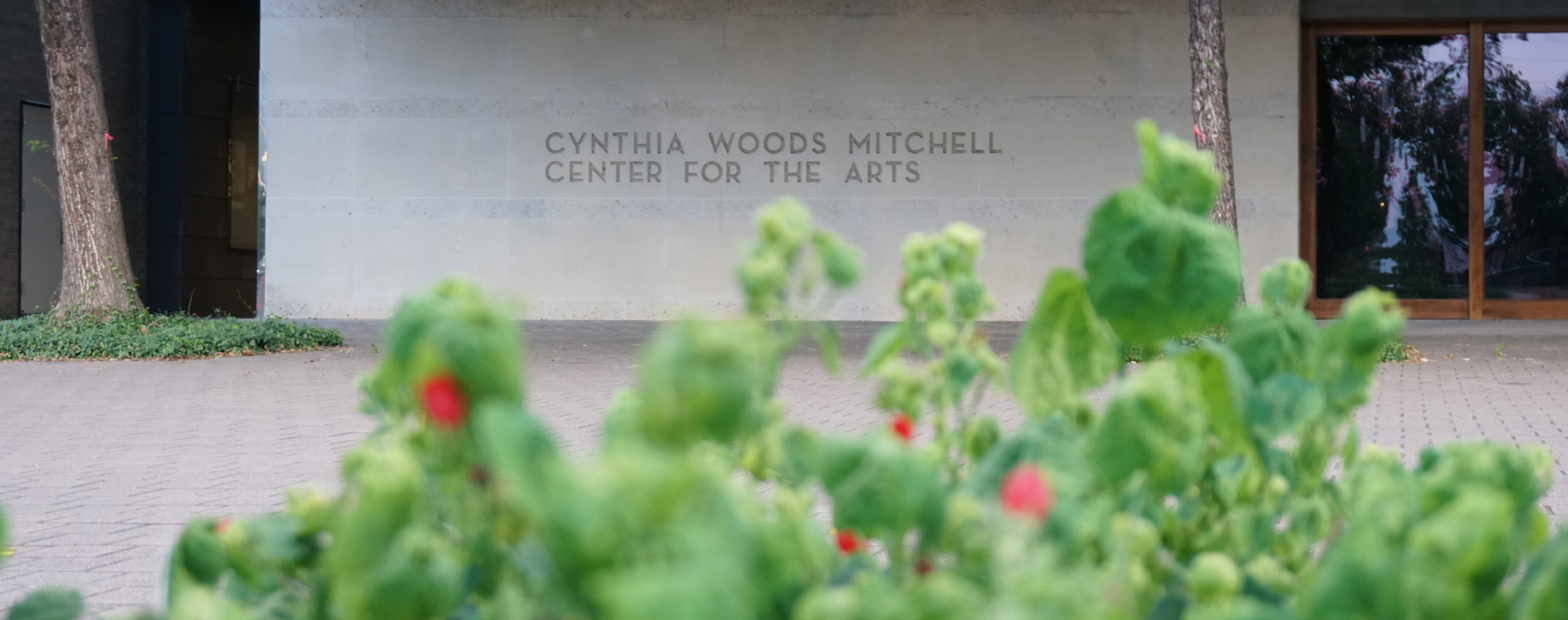 Cream stone building façade in the background with foliage and red flowers in the foreground. Text carved into the façade reads “Cynthia Woods Mitchell Center for the Arts."
