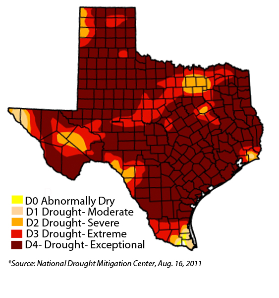 Texas Drought Map