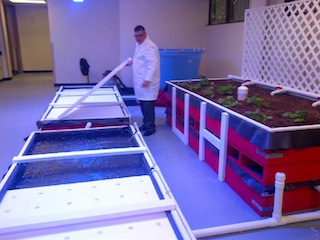 Prof Neal in Aquaponics Garden