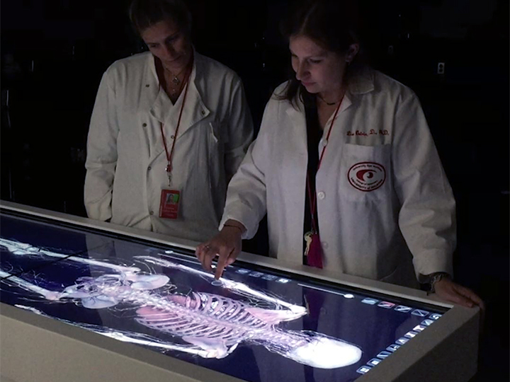 Anatomage Table 