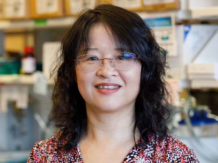 Ping Yi, assistant professor of biology and biochemistry