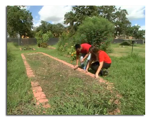 Community Garden