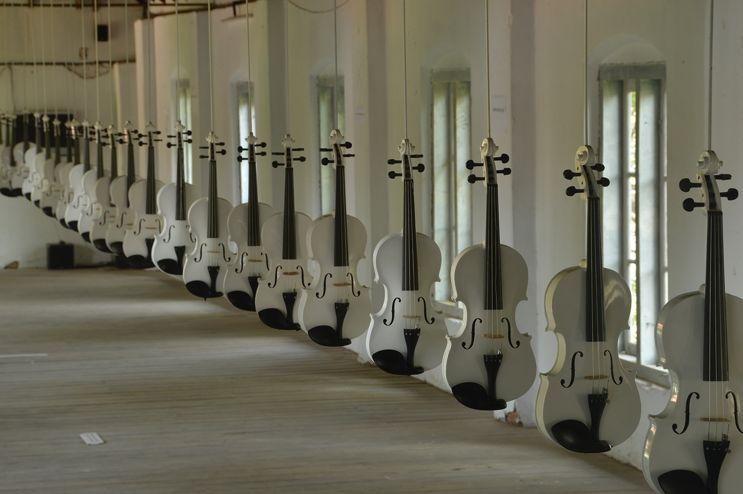 Islamic Violins