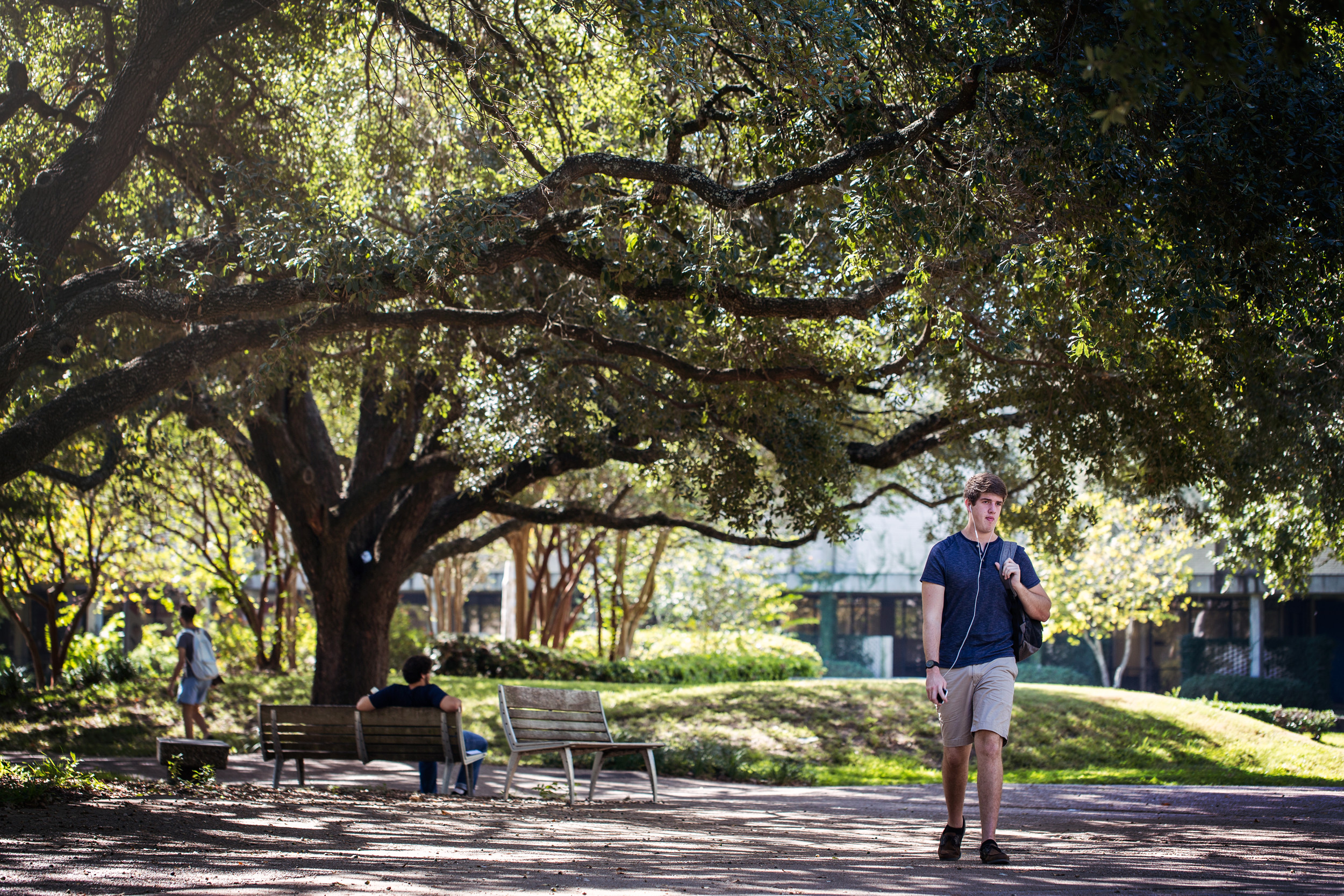 UH Ranked Among Great Value Colleges with Beautiful Campuses - University  of Houston